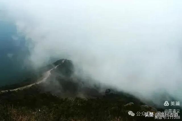 远上乌岩岭上斜,白云生处白云尖!温州这处秋日美景值得一去!