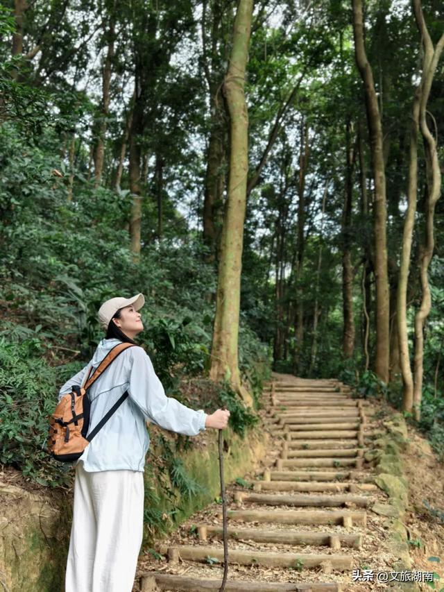 全部免费!解锁长沙10条山林徒步路线
