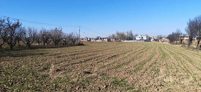 探秘长安石爷：第八尊石爷缺鼻子，递午村叫九村的原因实在意外