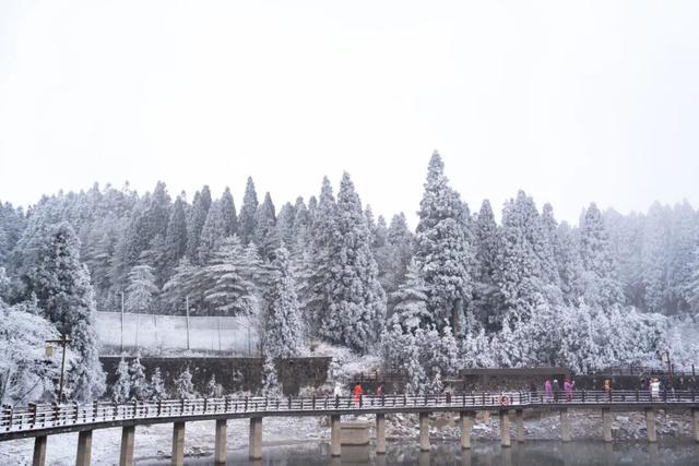 绝美！明月山今日雪景持续放送，速来打卡！