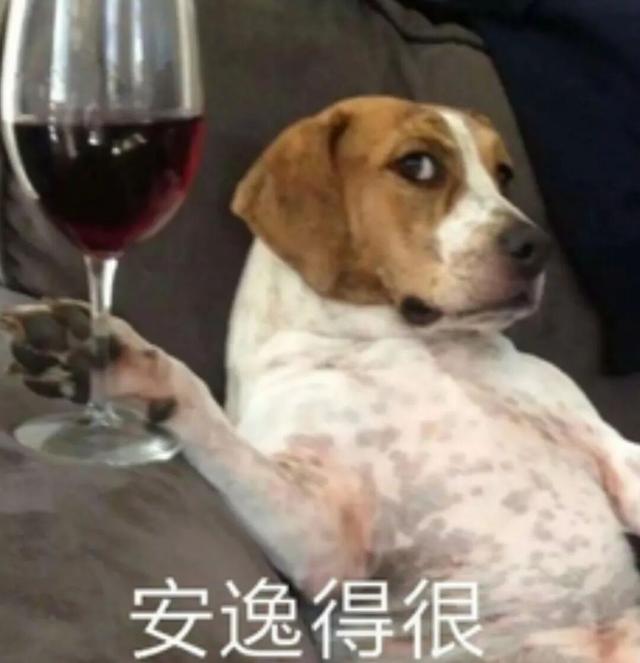 来上柱香吧，Windows 10在今天彻底死了
