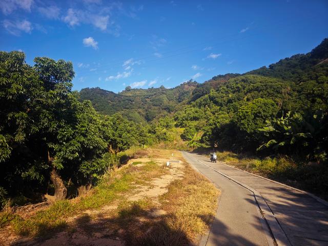 从丽康路穿荔园溪谷至西丽湖绿道骑行随拍