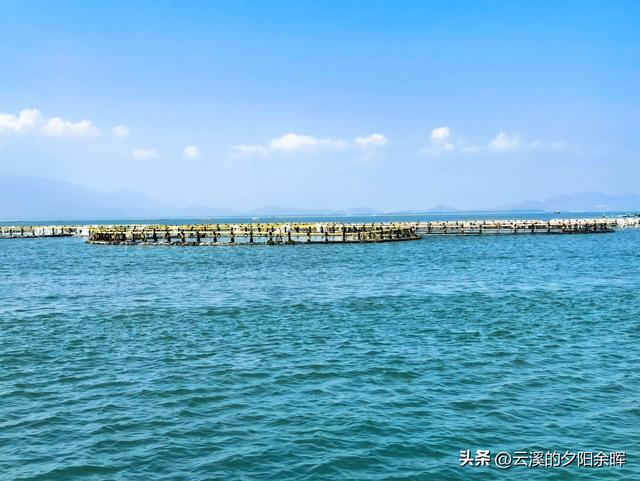 广东阳江海陵岛“渔家乐”体验，章鱼独当一面