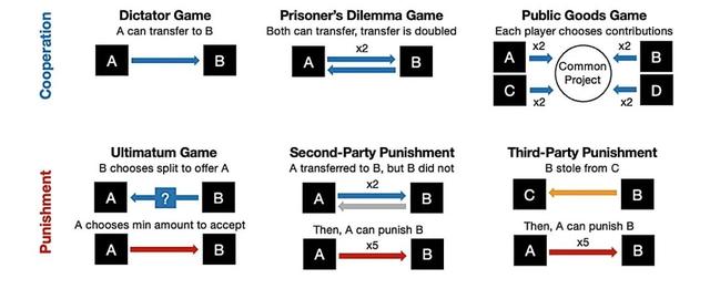 追问daily|认知训练能让大脑变大吗？AI越智能越自私？