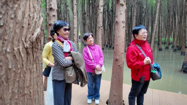一下飞机，上海阿姨们就被昆明暖到了，除了气候更让她们欣喜的是......