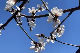 哈尔滨春季赏花路线图来啦图片