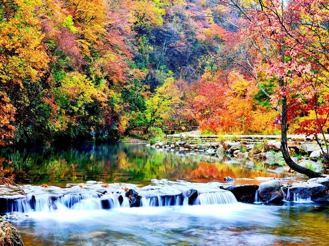 云南秋景疯玩指南！红叶、银杏，3条民族风路线承包你的绝美秋景