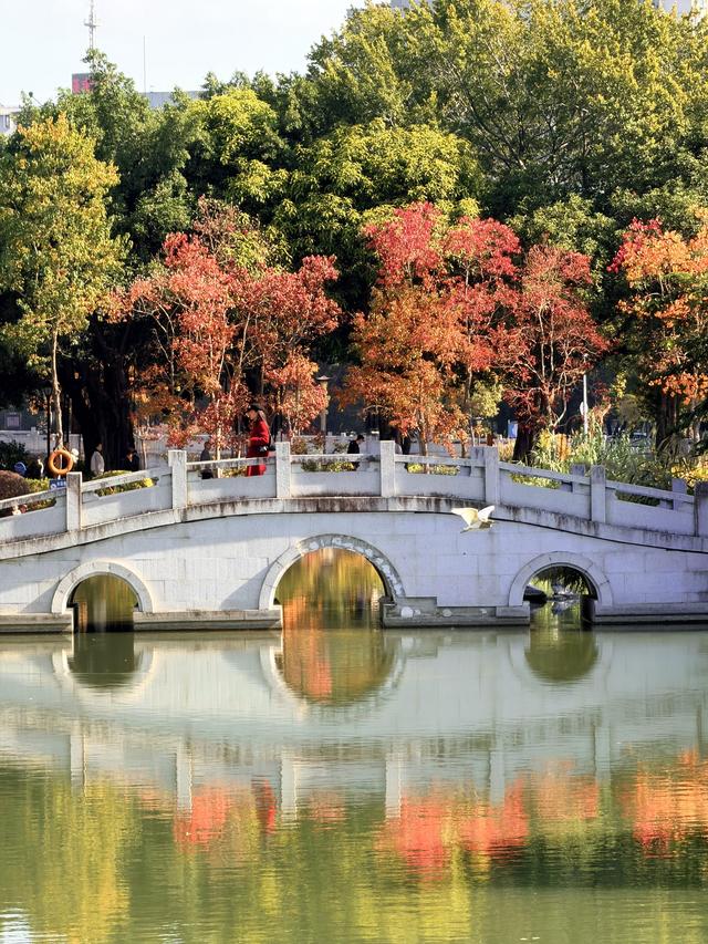 红了大片的乌桕，竟藏于一座园林之中，且被唤作 “福州小西湖”