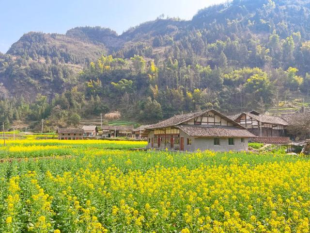 明天到狮溪，不止是“村晚”！还可以这样玩