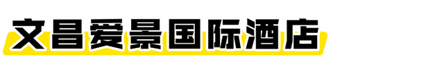 海口经济圈 | 文昌宠粉福利来袭→