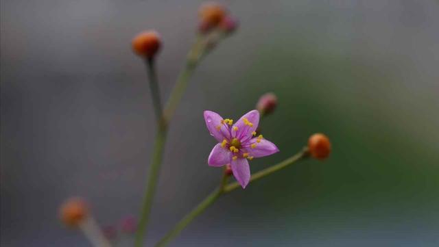 女人退休感悟1：不管有钱没钱，都要帮子女这三个忙，是为自己好