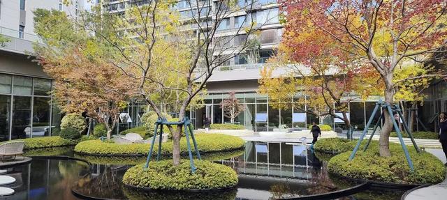 寻美薛城丨这里风景独好！美景尽收眼底，凭“颜值”出圈的社区美景！