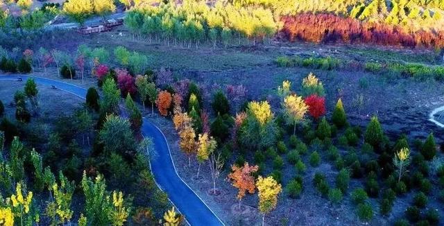 人少景美!丰台这些“秋季限定”进入倒计时!
