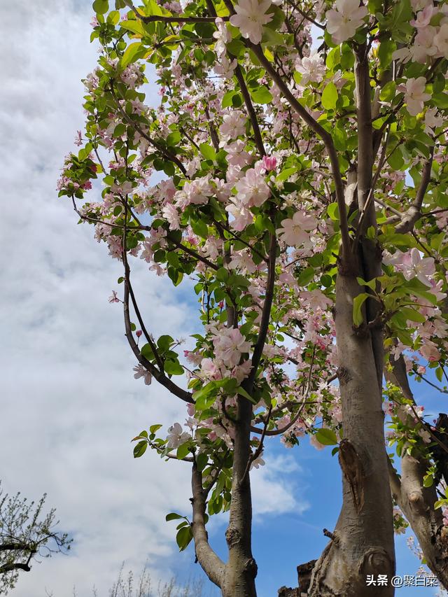 一年四季中哪个季节的景色最美