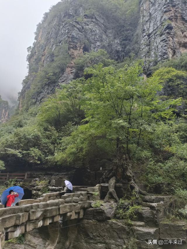 无为在歧路，壶关林州大名府3