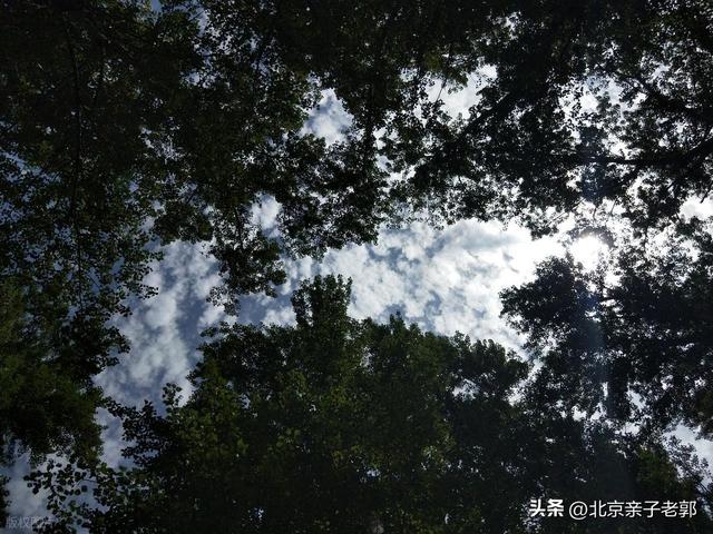 北京周边露营攻略（2025精简版）