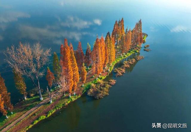 西山赏杏观鸥全攻略！40载人鸥情缘！3+8+N玩法承包冬日浪漫