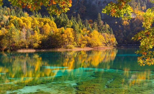 秋日九寨沟文案，遇见各式各样的浪漫