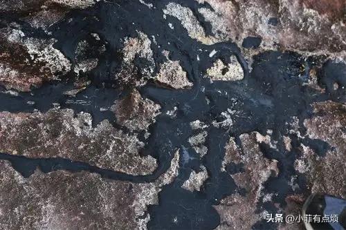 全球仅一台在中国！禁止出售的国之重器，100%国产碾压欧美技术