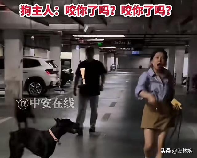 丹阳车库杜宾犬后续！报警却被要求删除视频，狗主人硬刚网友！