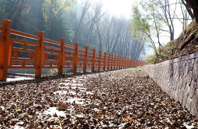 武山老君山森林公园：藏在陇中的秋日胜景
