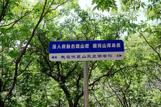 郑州新密伏羲山，河南自己的“阿勒泰”，深受自驾游爱好者的喜爱