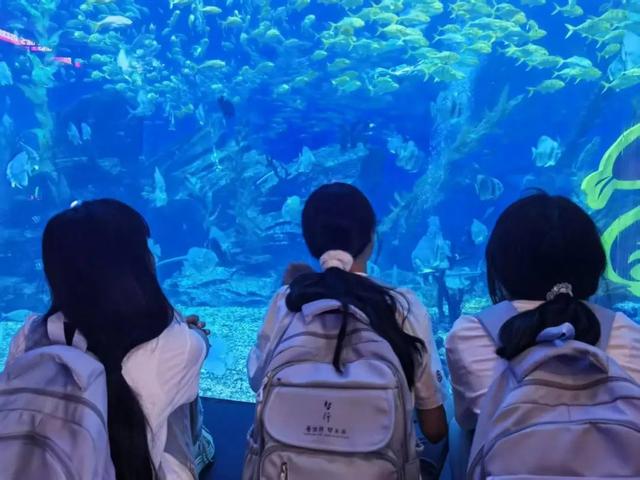 看世界·梦未来|以夏日之名，赴郑州之约