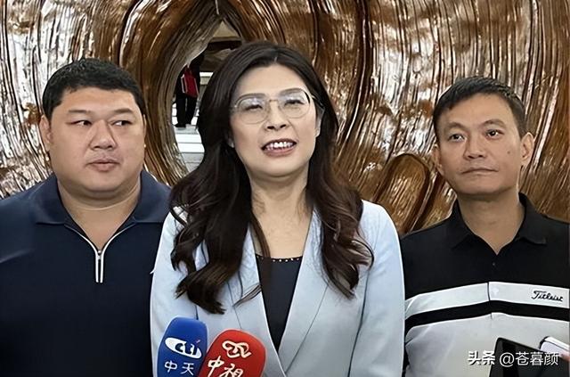 郑丽文又有大动作，当着日媒的面、直接说出心里话，绿营瞬间炸锅