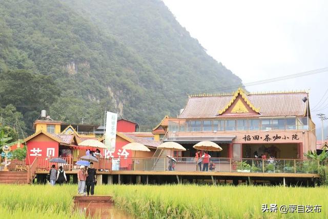 遇见临沧 如回故乡 | 摸稻鱼、揽茶香、赏傣韵！双节畅游耿马体验田园诗意