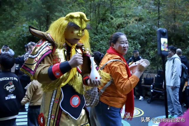 宕昌官鹅沟解锁流量密码！“小钻风”引爆山水景区新玩法