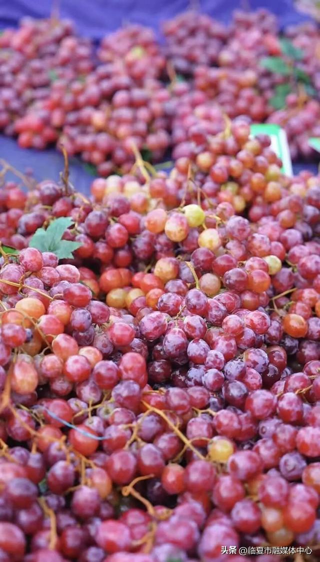 晨光里的烟火交响：临夏早市