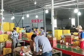 电商西进背后：拼多多与那些被忽略的爱与自由图片