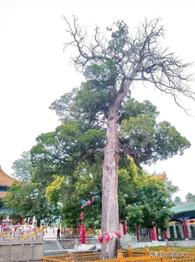 沂山，中国第一镇山