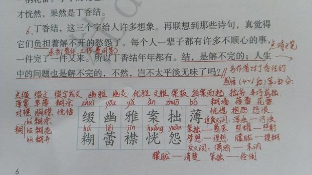 六年级上册第二课《丁香结》，资深教师手写笔记，帮助学生学语文