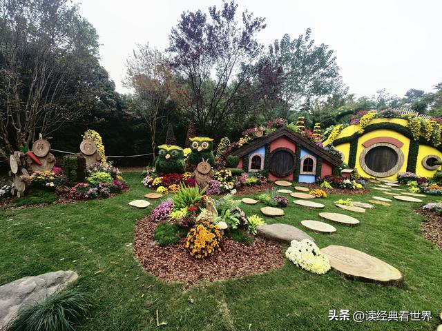 杭州植物园的菊花展——一场关于菊花的饕餮盛宴（二）