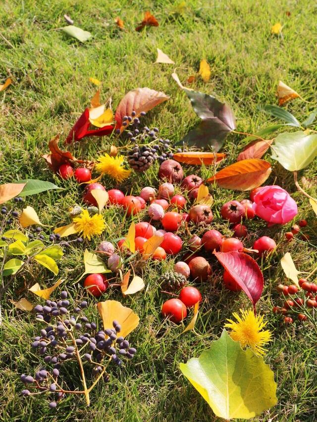 出片率UP！UP！UP！潍坊这里好美啊！