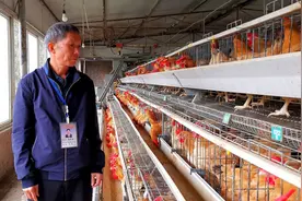 躬耕沃野践初心 笃行筑梦新三农 | 遵义市最美农技员袁清国：扎根农业一线 当好“畜牧卫士”图片