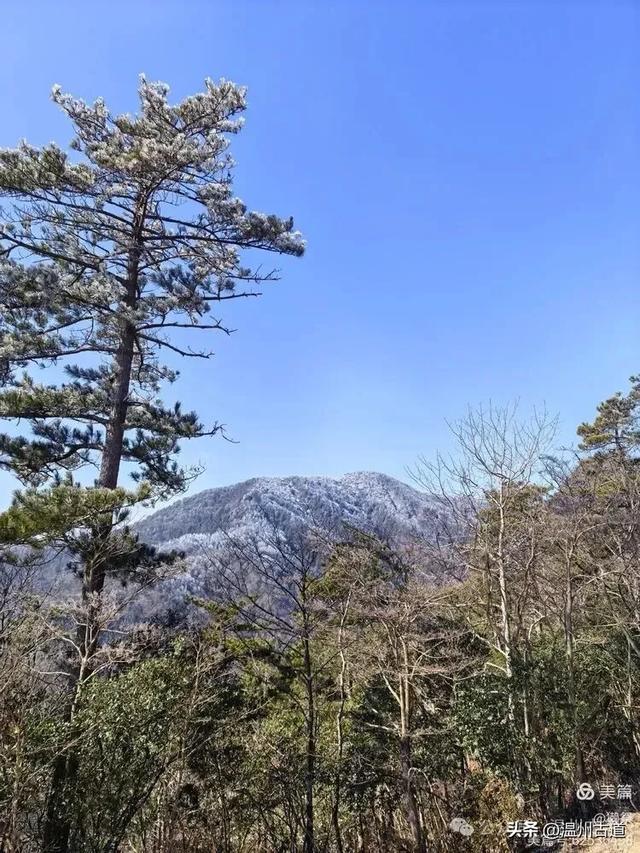 邂逅2026年的第一场醉美雾凇!温州四海山的雾凇美爆了!