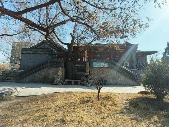 陶然亭深处的窑台：一杯香片，半阙古今怅惘（随笔）