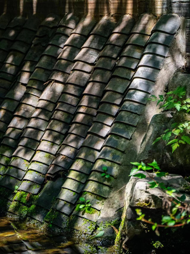 探寻老街巷褶皱里的城市密码，感受正宗郫都味~