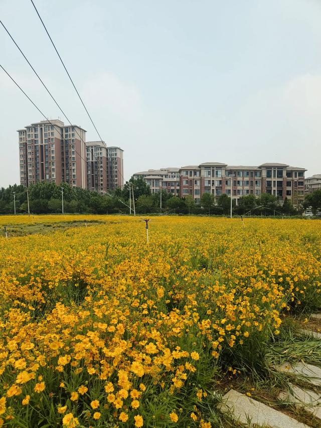 天津又一新建的公园~《山水花苑》