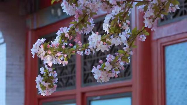 在儿子家带娃7年，孙子上学我拿60万买养老房，儿媳却让我不要走