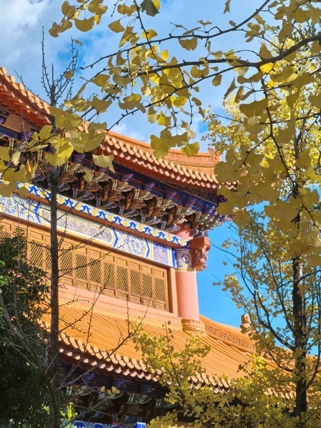 大理又要开“滤镜”了