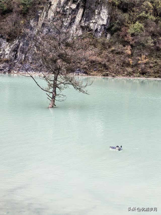 秦岭狮子沟牧场&牛奶湖