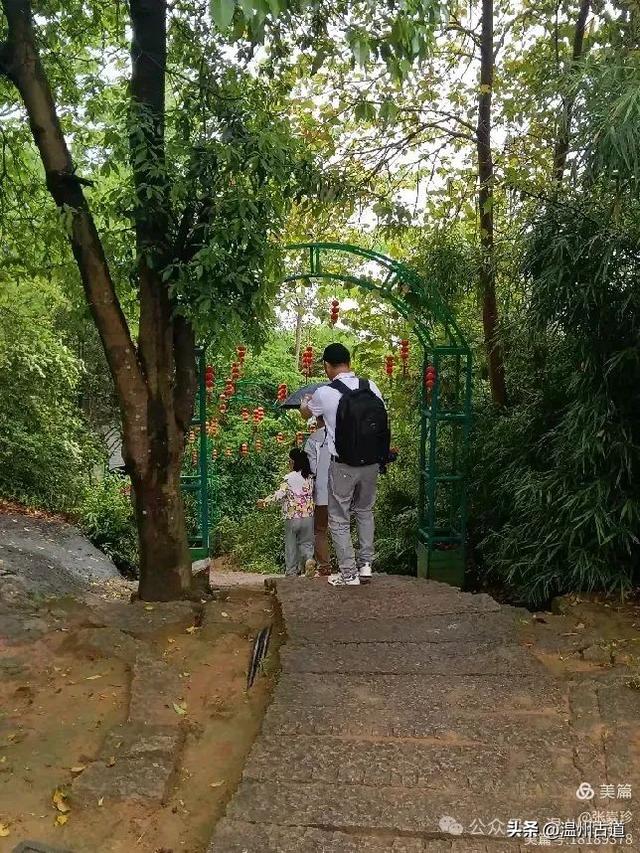 温州这两个以奇石闻名又可连穿的免费景区，值得一去！