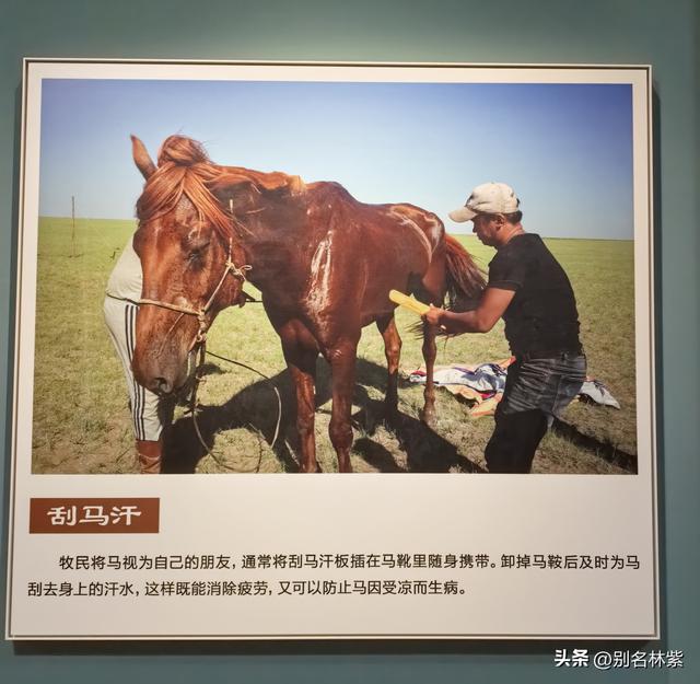 世界反法西斯战争胜利80年之际，参观海拉尔纪念园，哈萨尔桥夜景