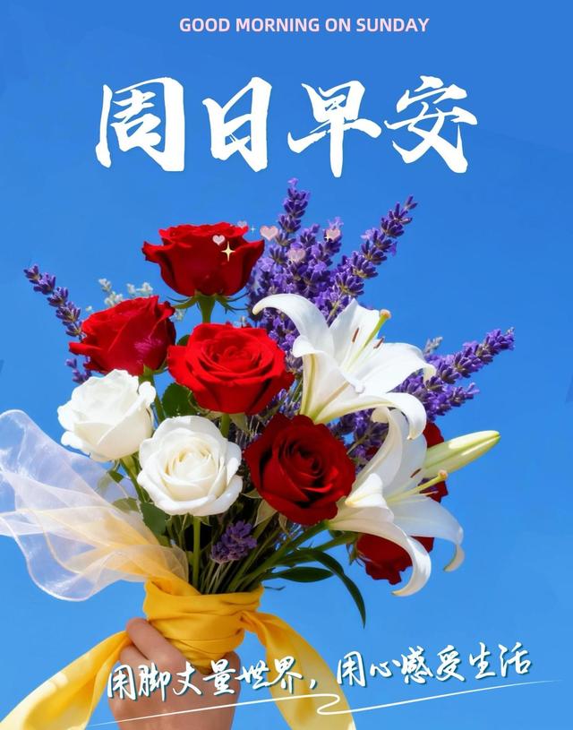 周末晨光中醒悟，平凡日子藏着幸福，内心宁静成最强伙伴