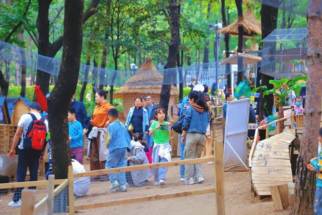 人气拉满！蒙山“国庆晴天险”福利，迎来首批兑现热潮！