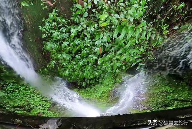 成都周边清凉胜地，三伏天穿长袖，吊桥、瀑布、栈道，不要门票！