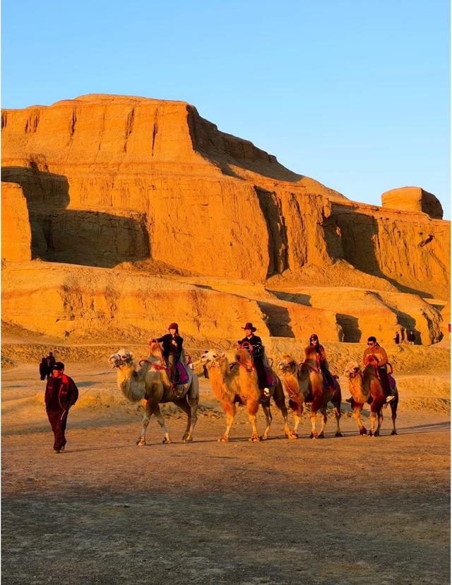 我是上海人，到克拉玛依见克一号井，又在百里油区赏炼塔夜景。